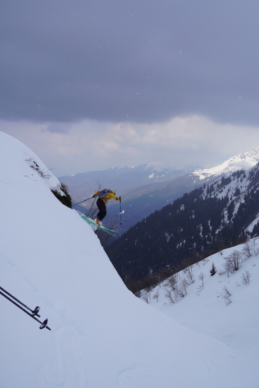 #6 le freerider le freerider