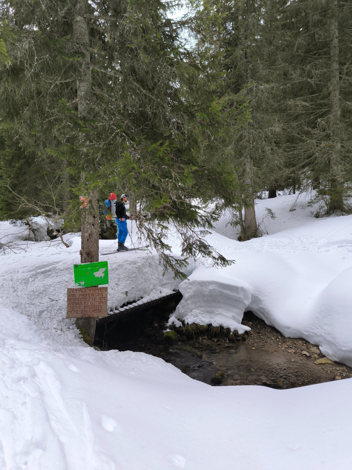 #2 Encore une sacrée couche de neige.... Encore une sacrée couche de neige....