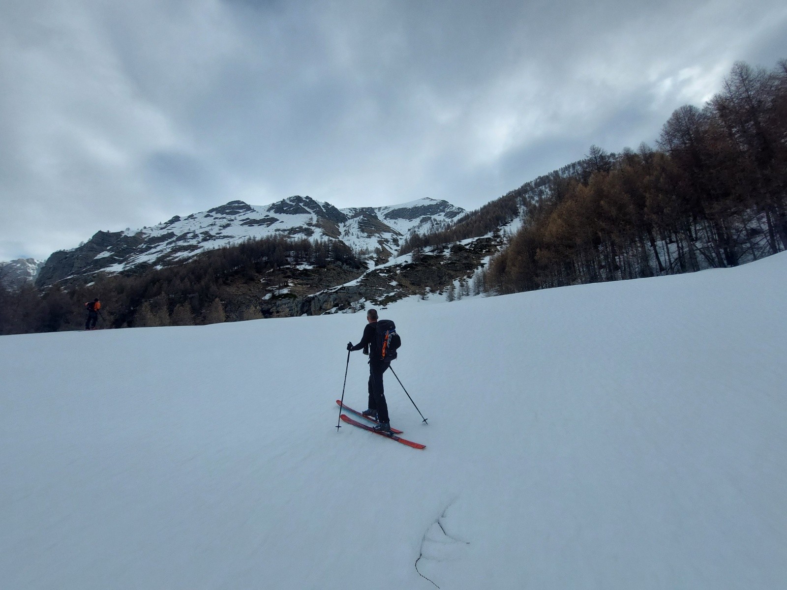 #1 Sortie de la foret Sortie de la foret