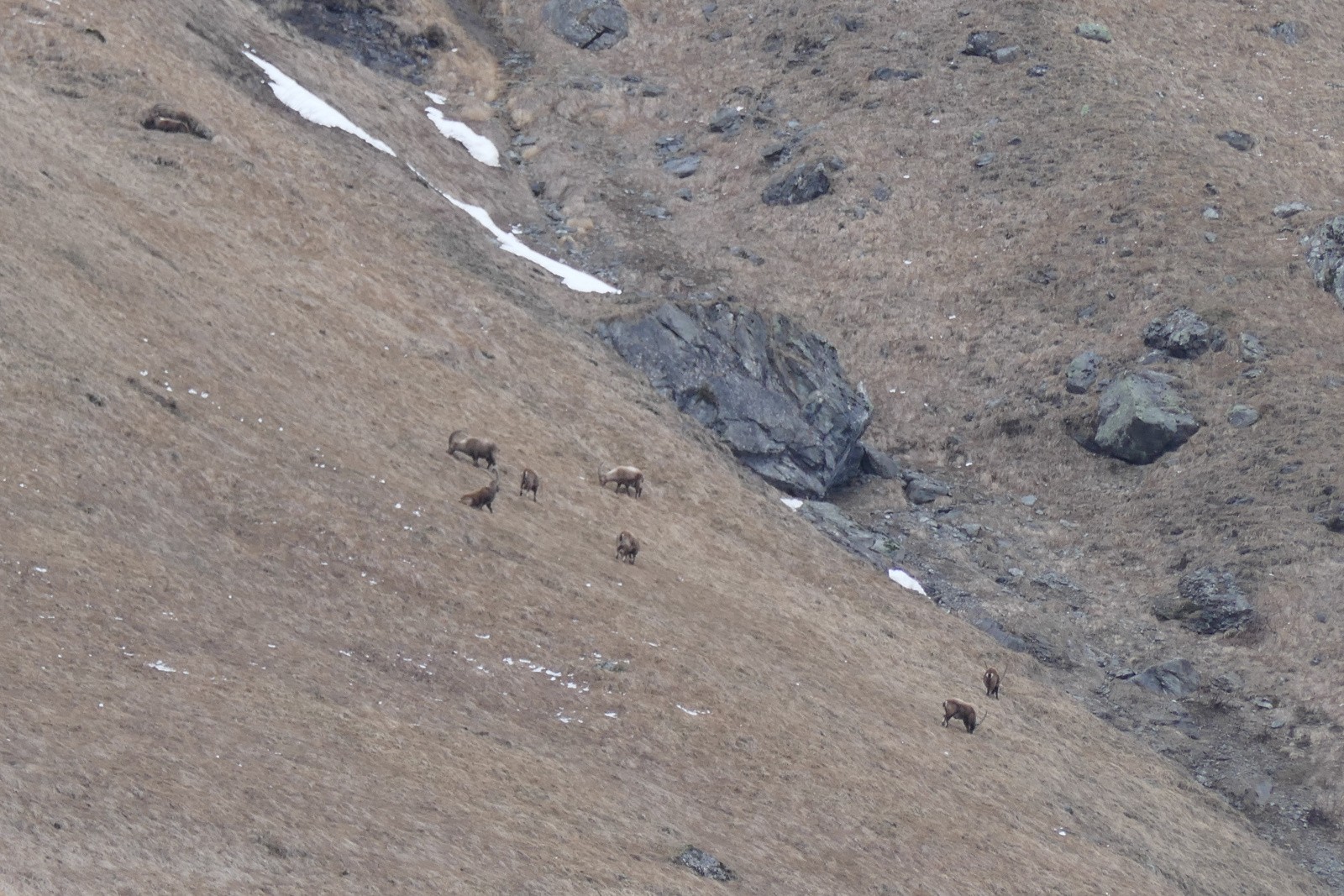 #34 Eux, ils ont l Eux, ils ont l'air bien