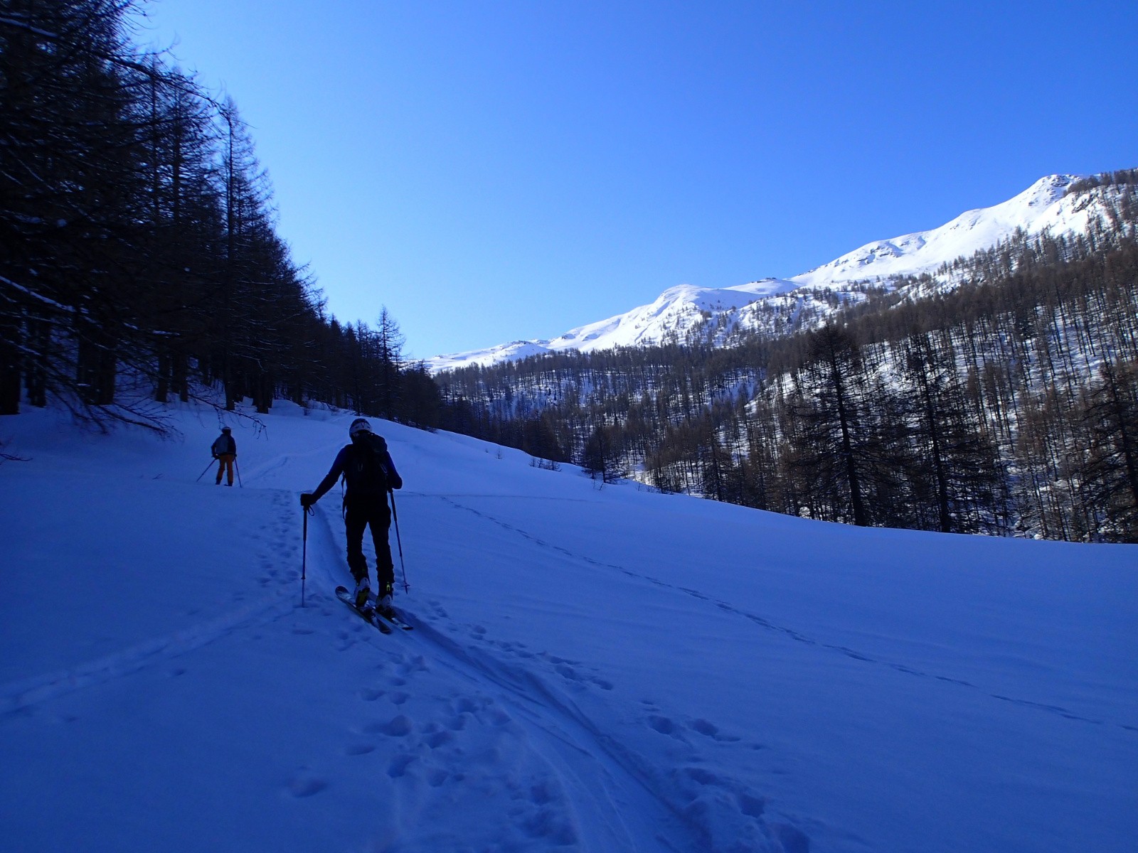 On sort de la forêt...
