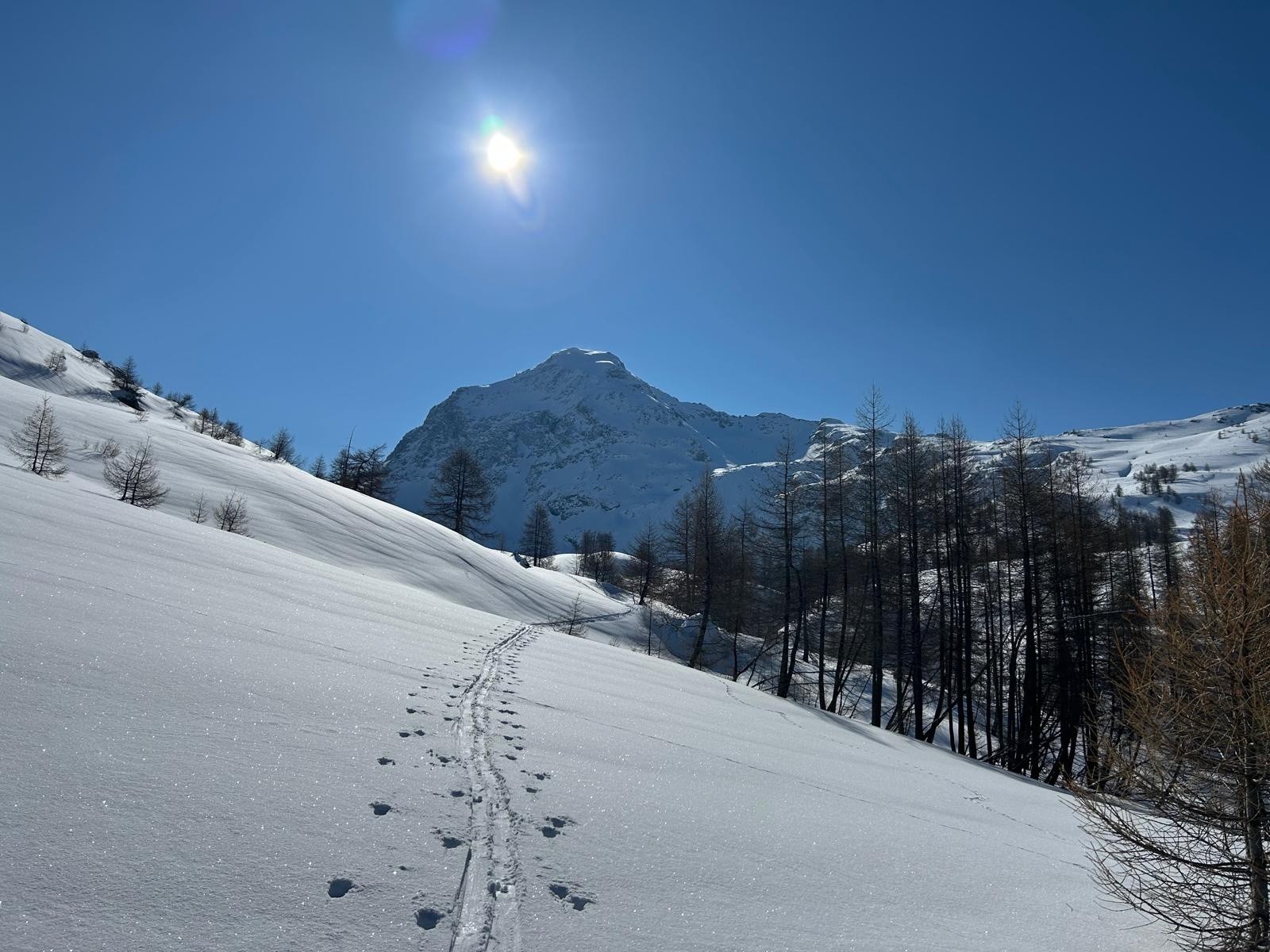 Le Pelvas&nbsp;&nbsp;