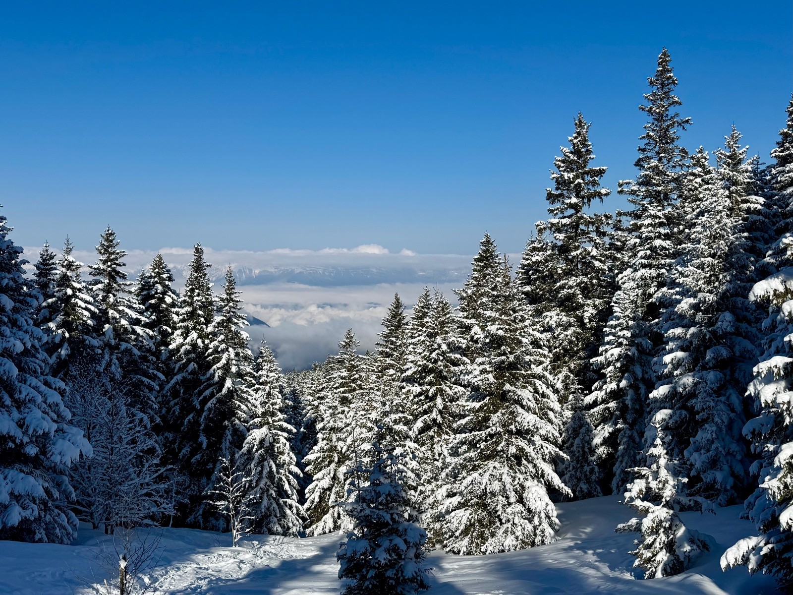 &nbsp;Un petit coup d'hiver