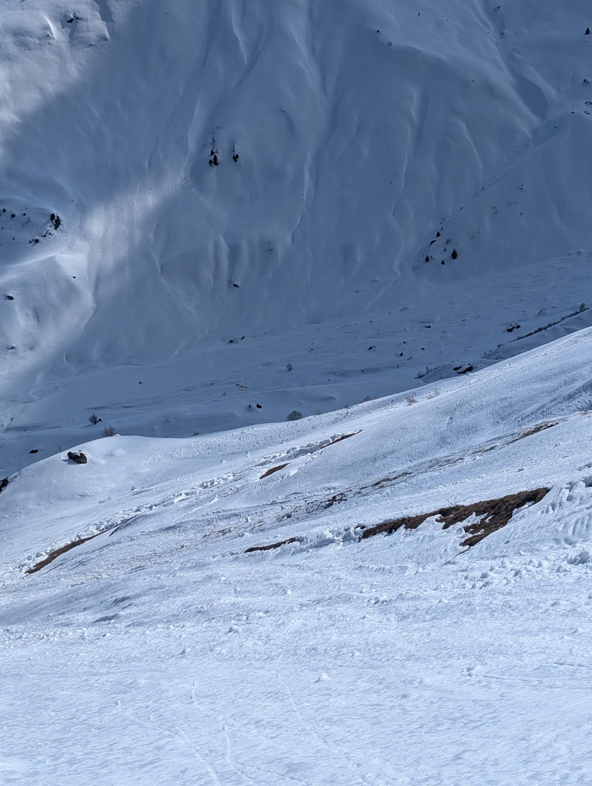 &nbsp;Boulettes et Gypaète