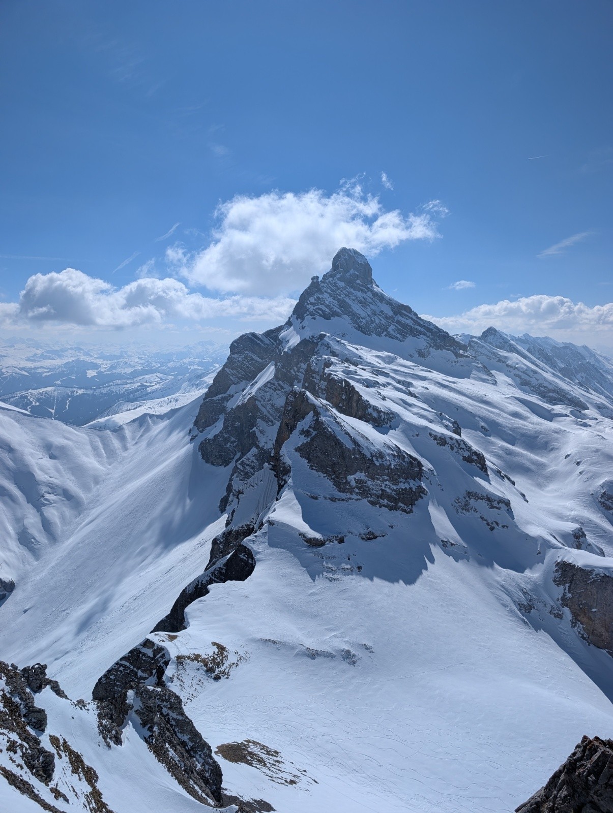 &nbsp;Sa Majesté, imposant son reigne sur le beau pays de l'Aravistan