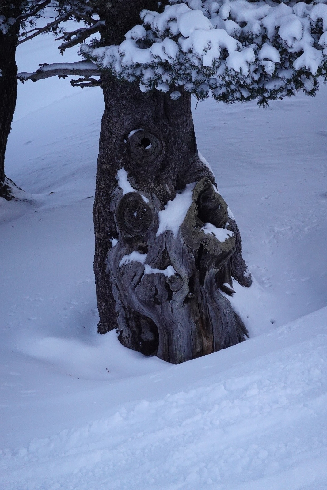 Un être bien torturé