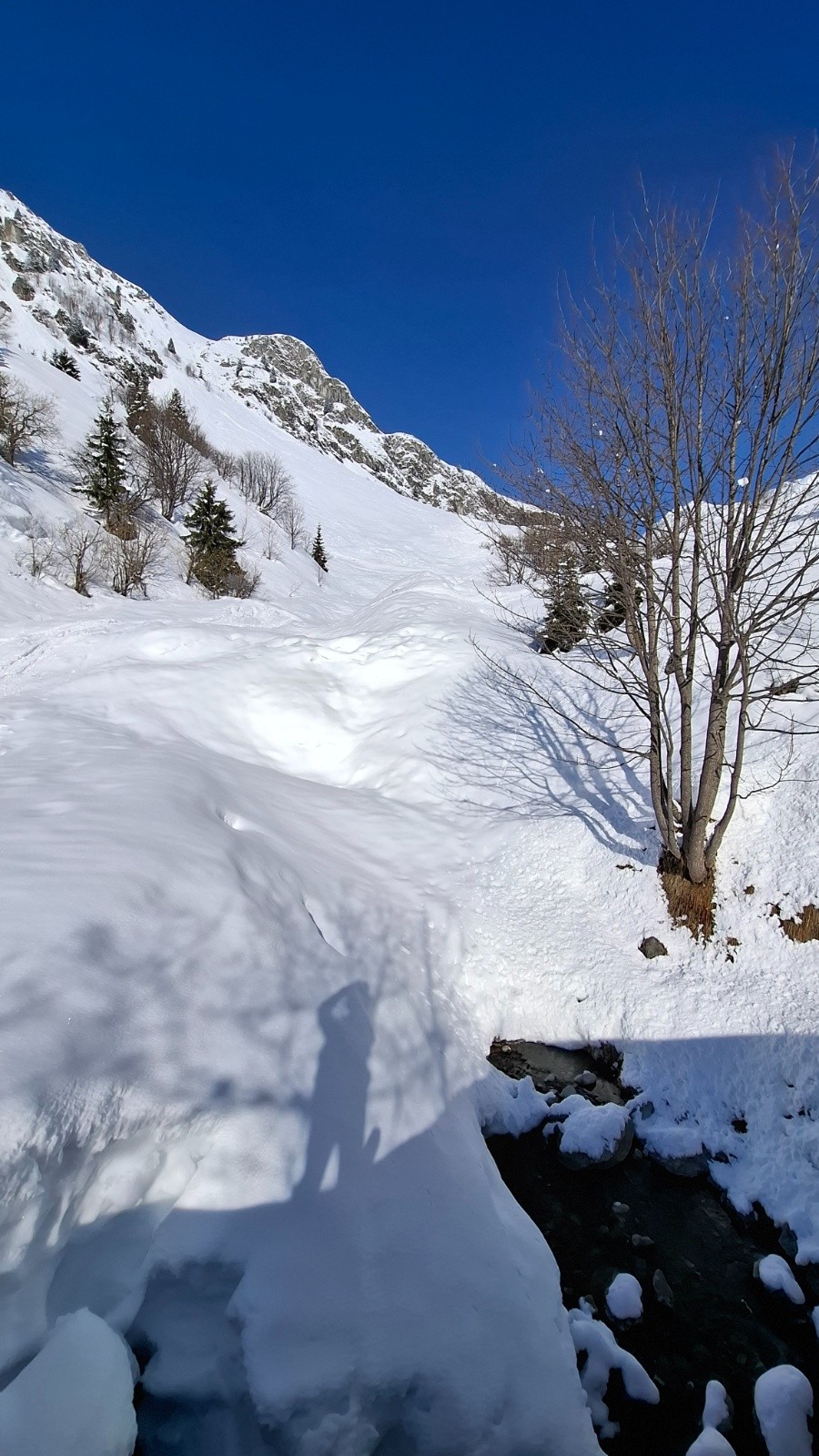 Pont Bodo bien rempli cette année&nbsp;