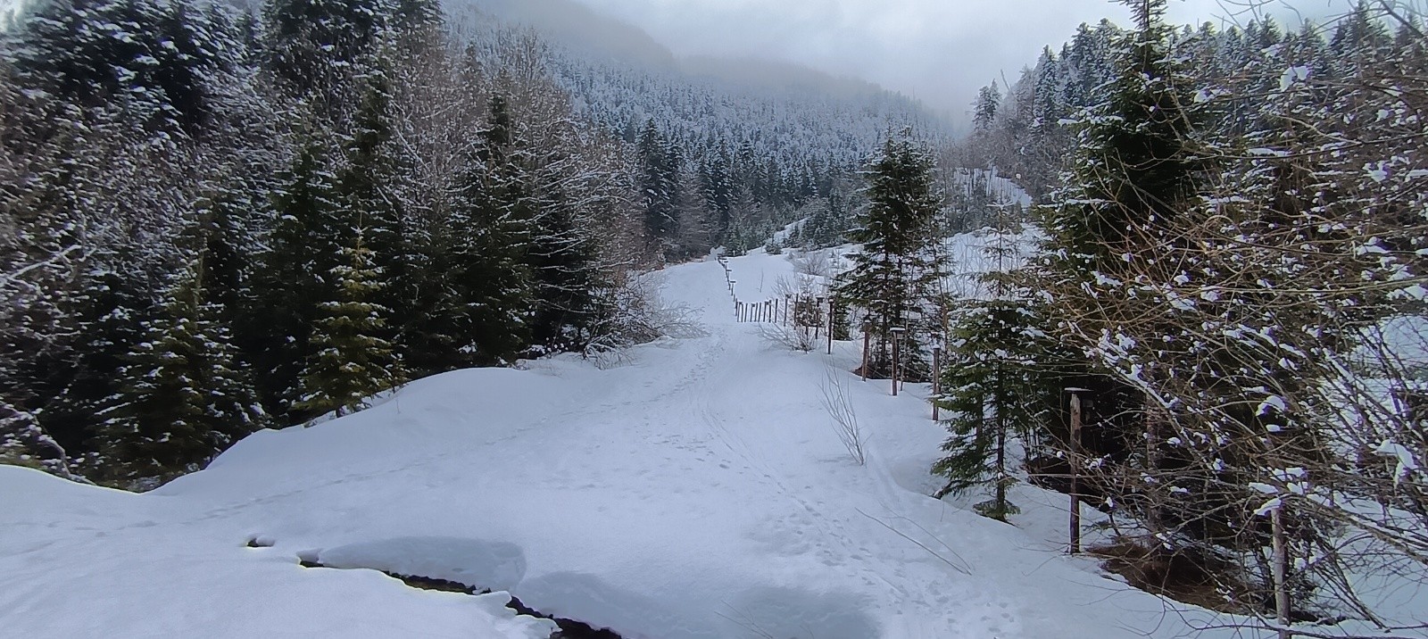 Départ bien enneigé