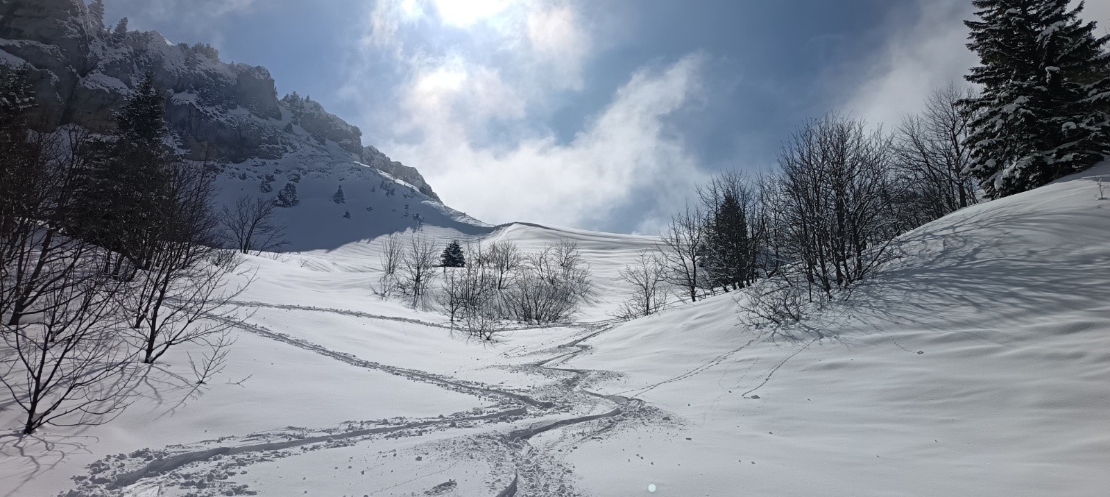 Sortie de la forêt&nbsp;