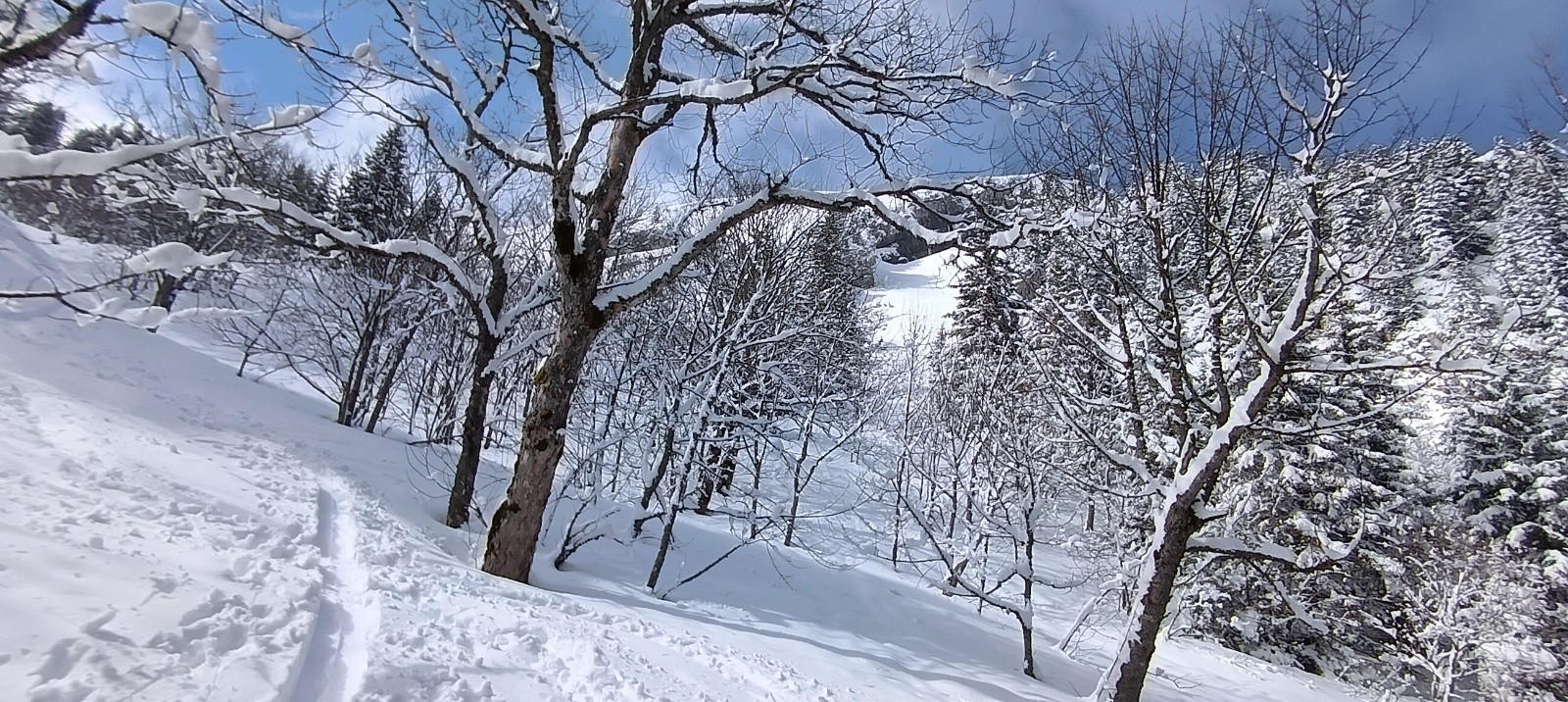 On se croirait en hiver 😎