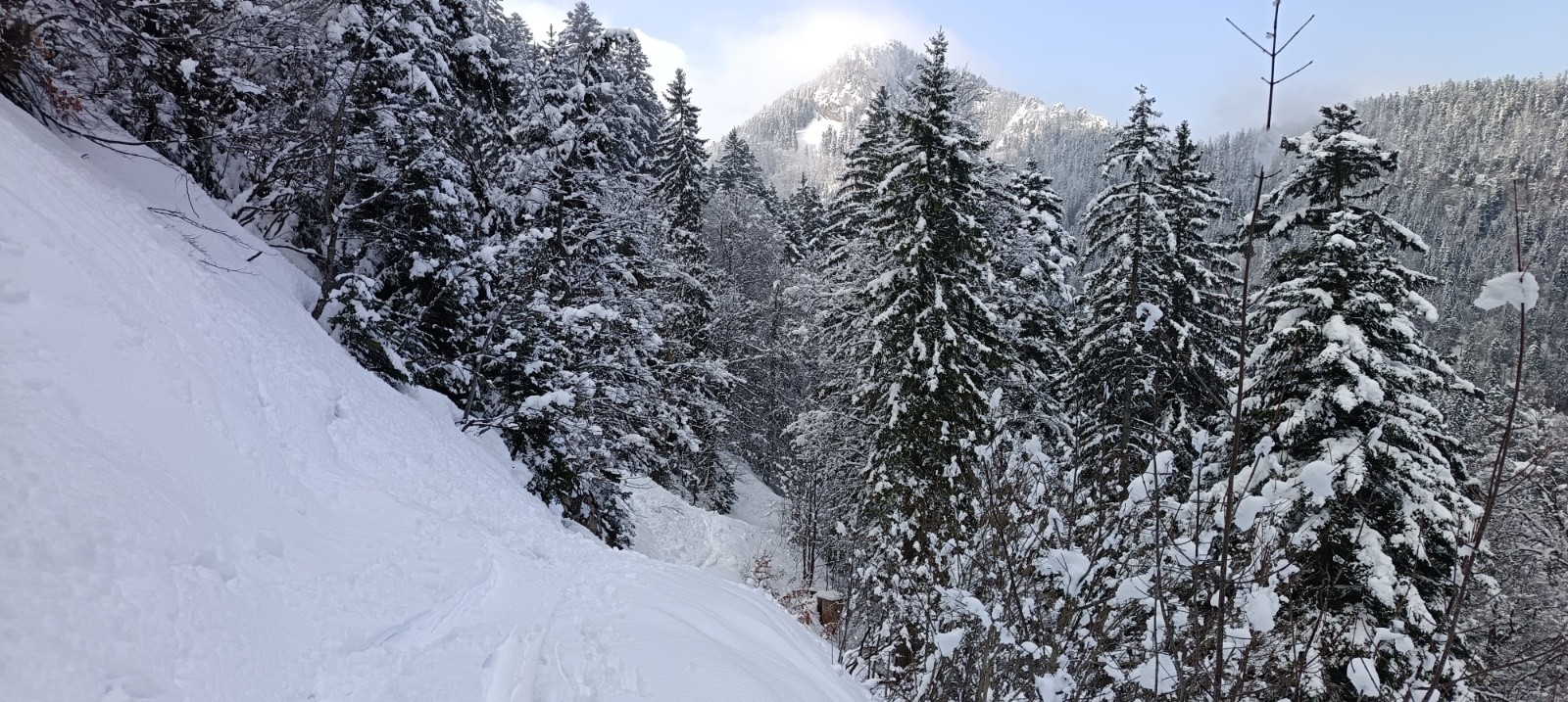 Chemin, avec les coulées habituelles&nbsp;