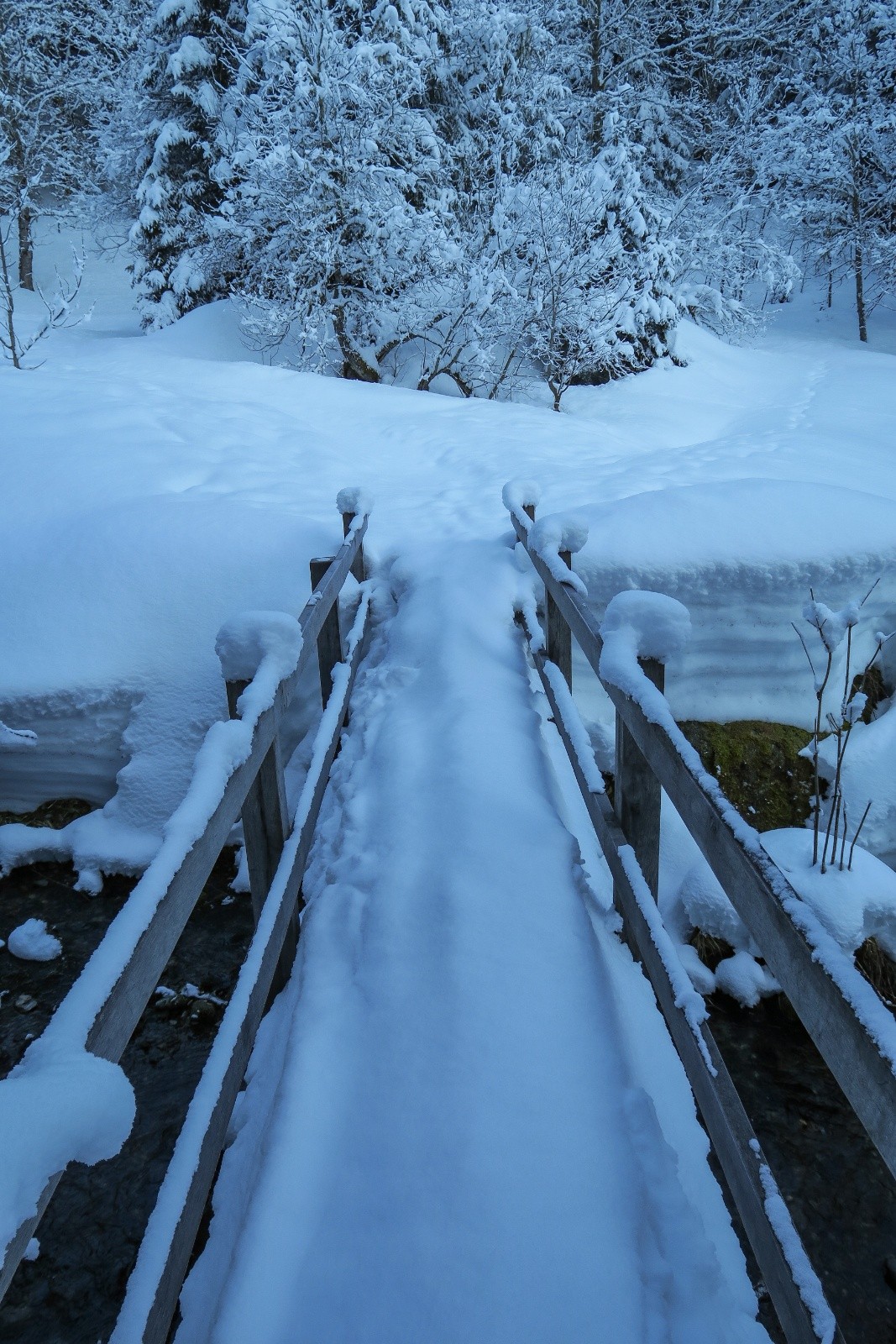 &nbsp;C'est tout droit !&nbsp;