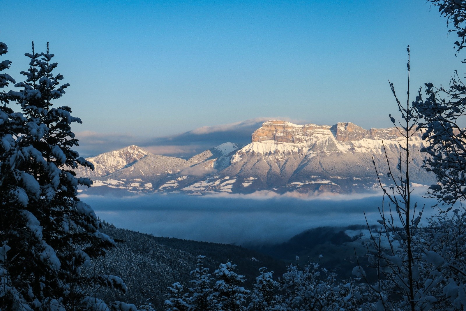 &nbsp;La Dent matinale !&nbsp;