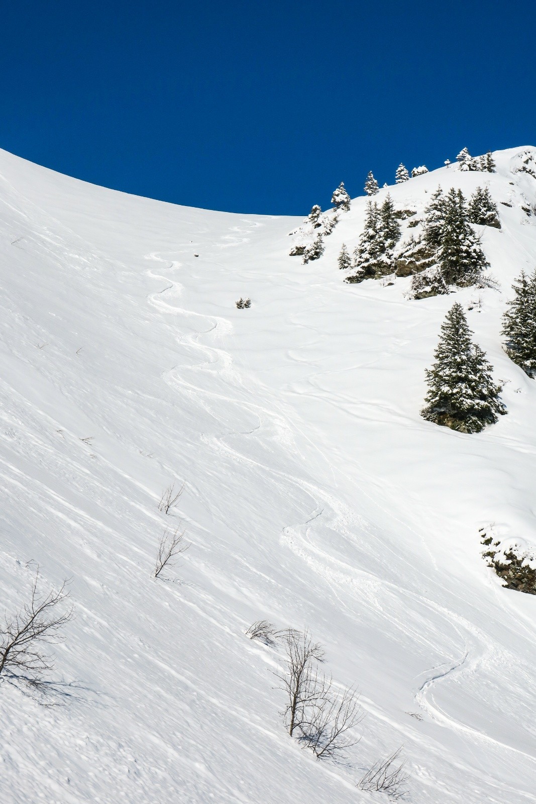 &nbsp;Encore tout poudre !&nbsp;