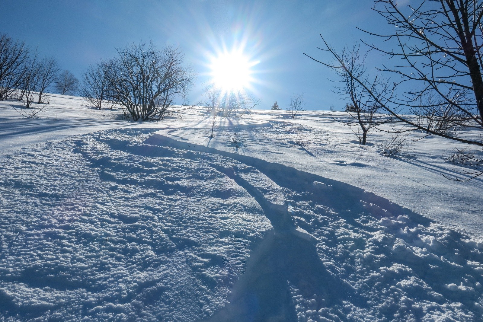 Toujours très bon !&nbsp;&nbsp;