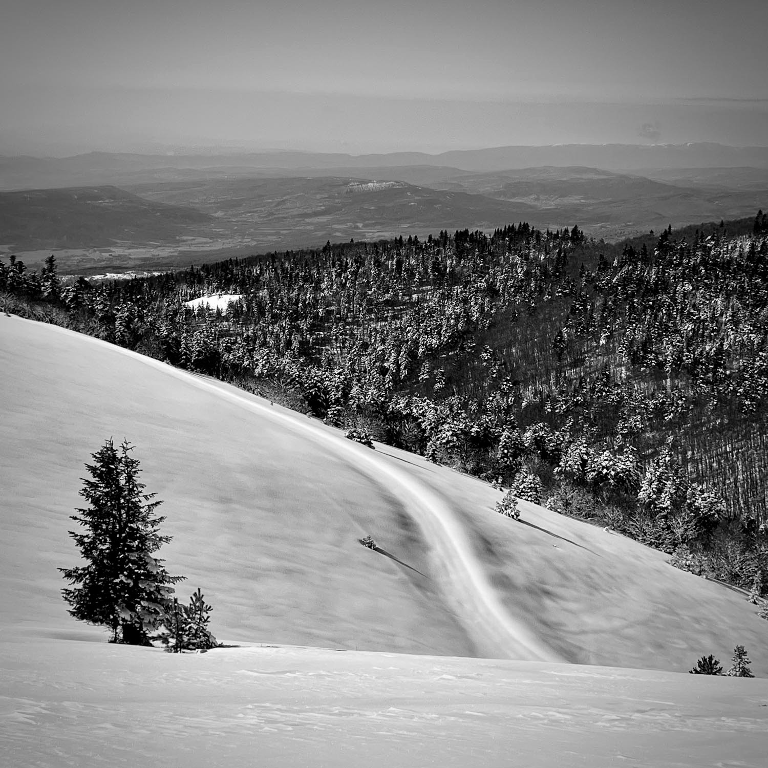Une Lure sans traces