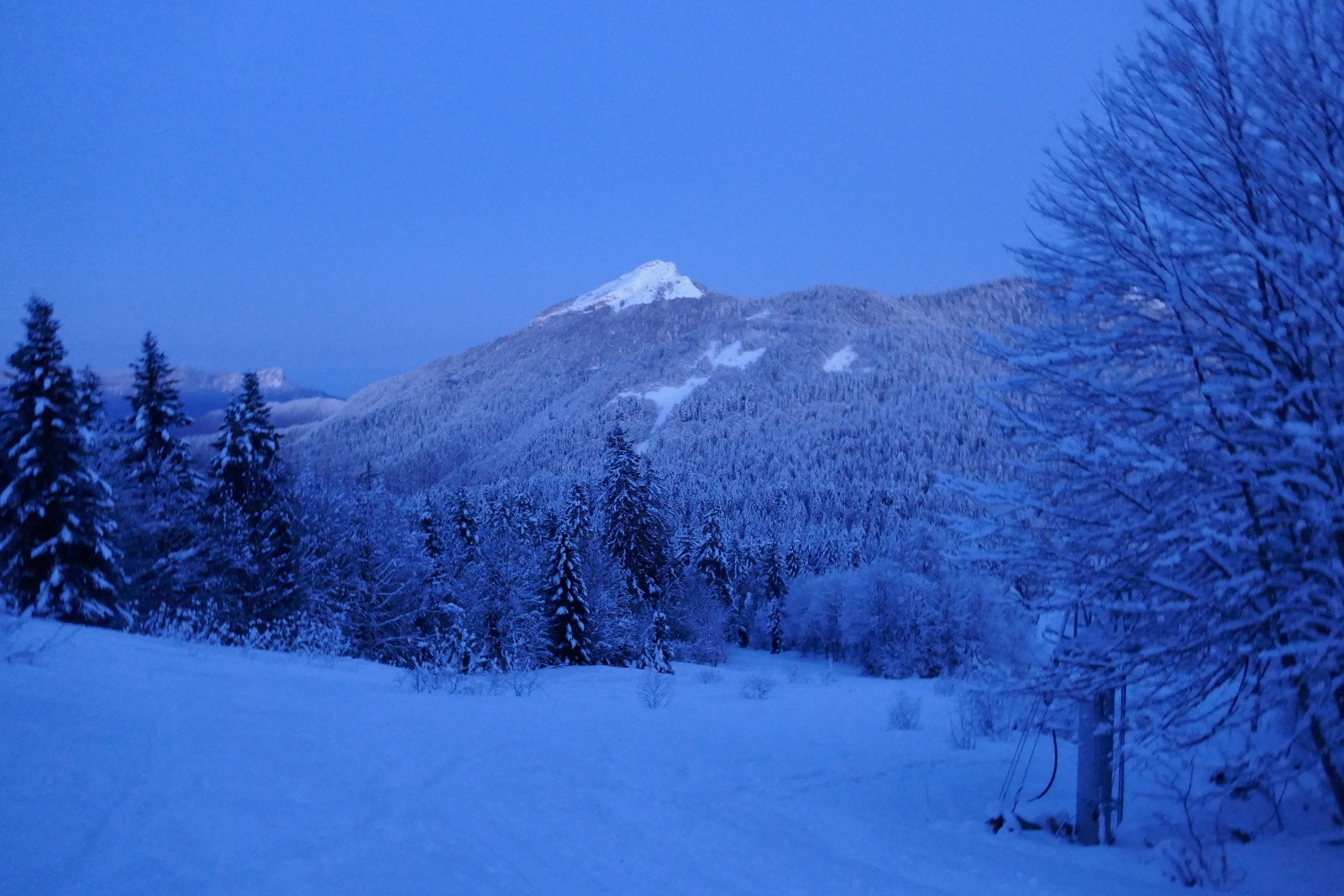 La Pinéa repeinte pour la semaine&nbsp; 