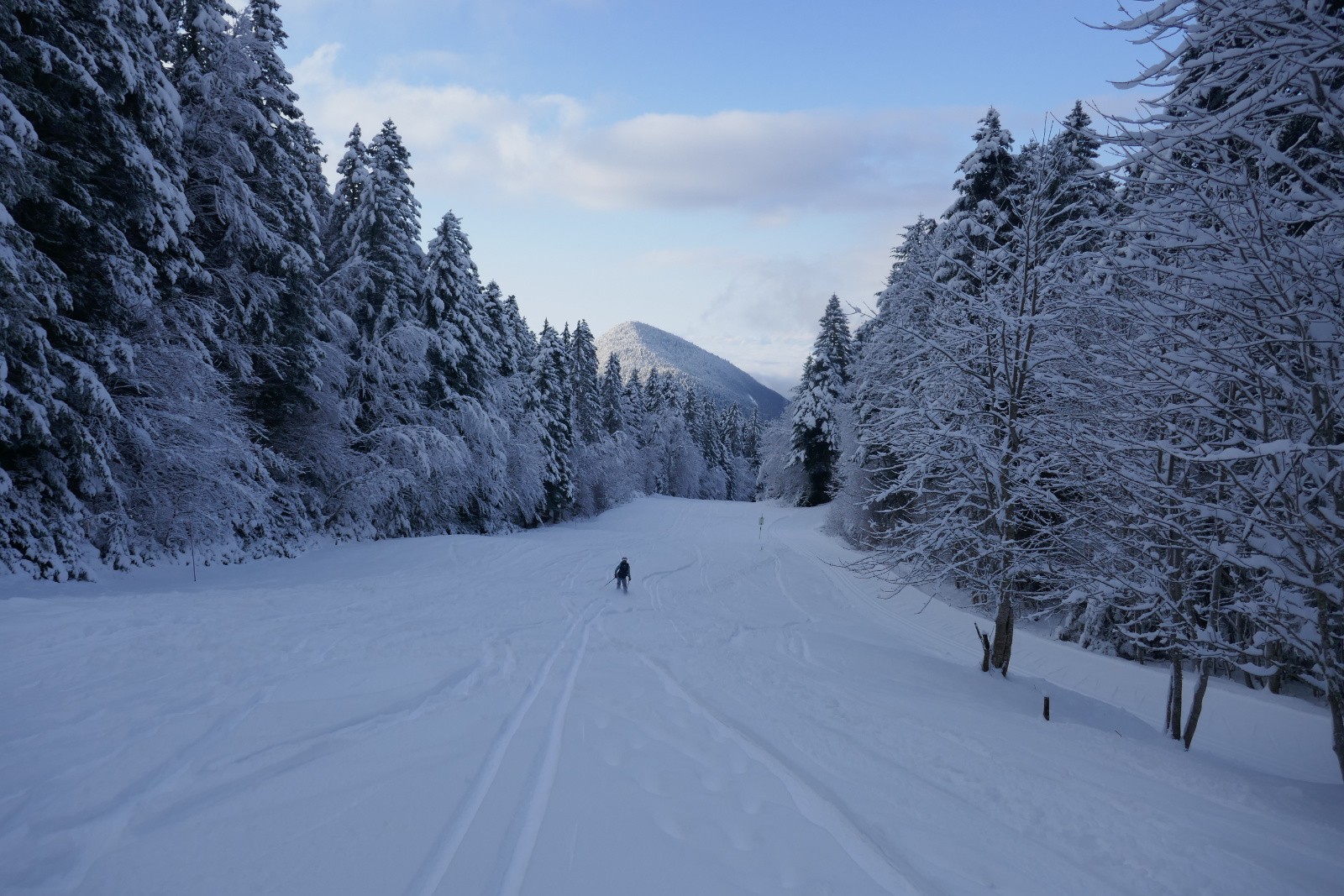 Aller zou ! Au taf !&nbsp; 