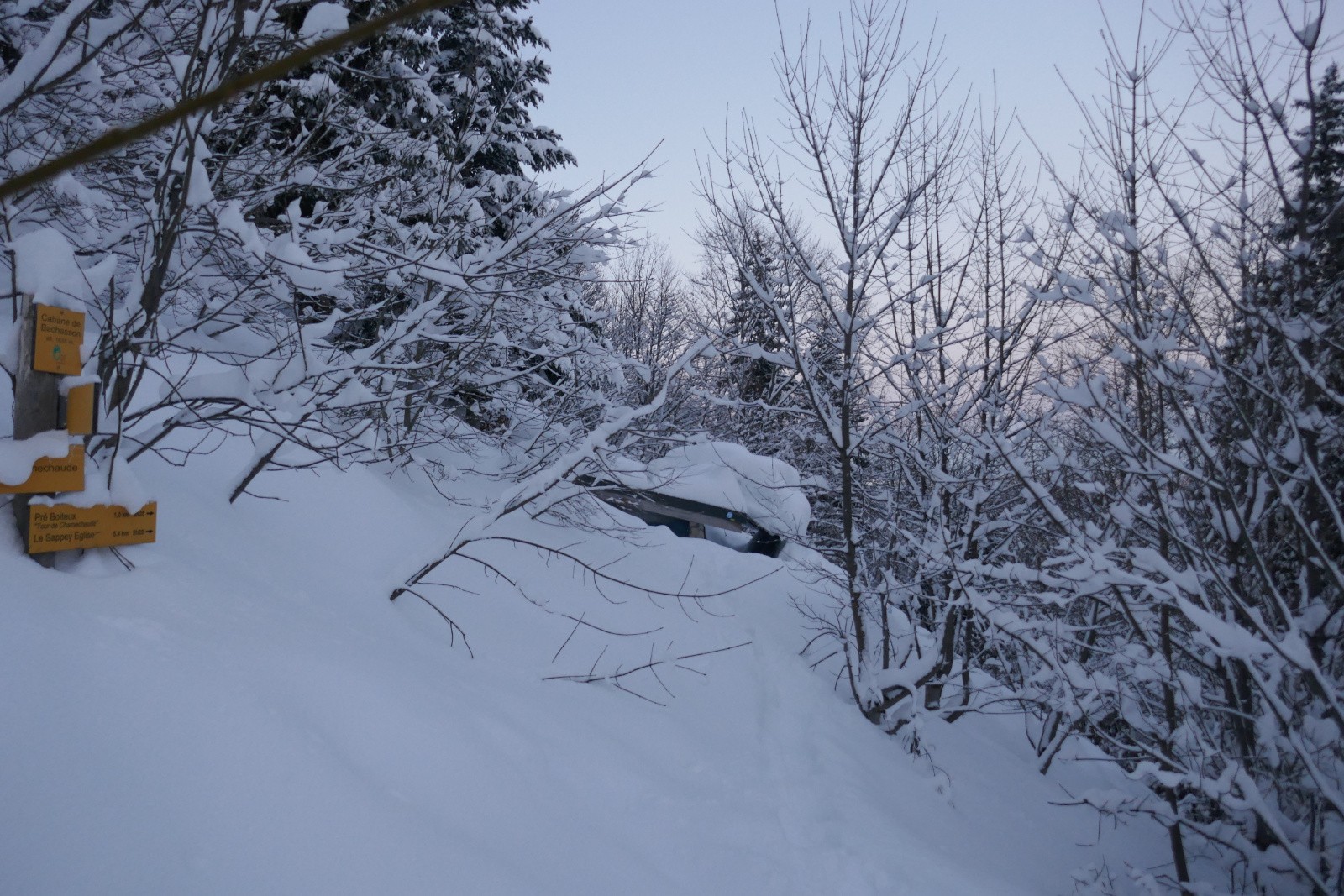 Nivose de Chartreuse 