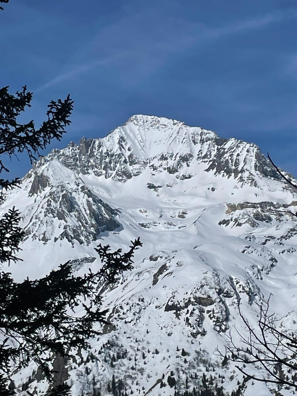 &nbsp;Face E Parachée un peu sèche..