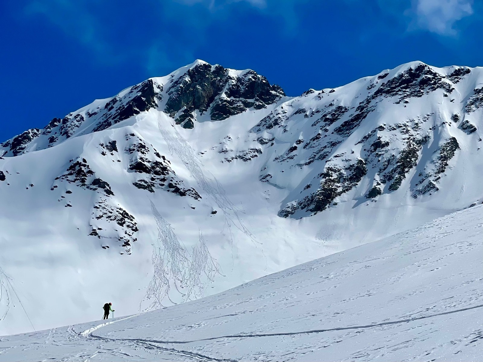 #6 Go en face ! Go en face !