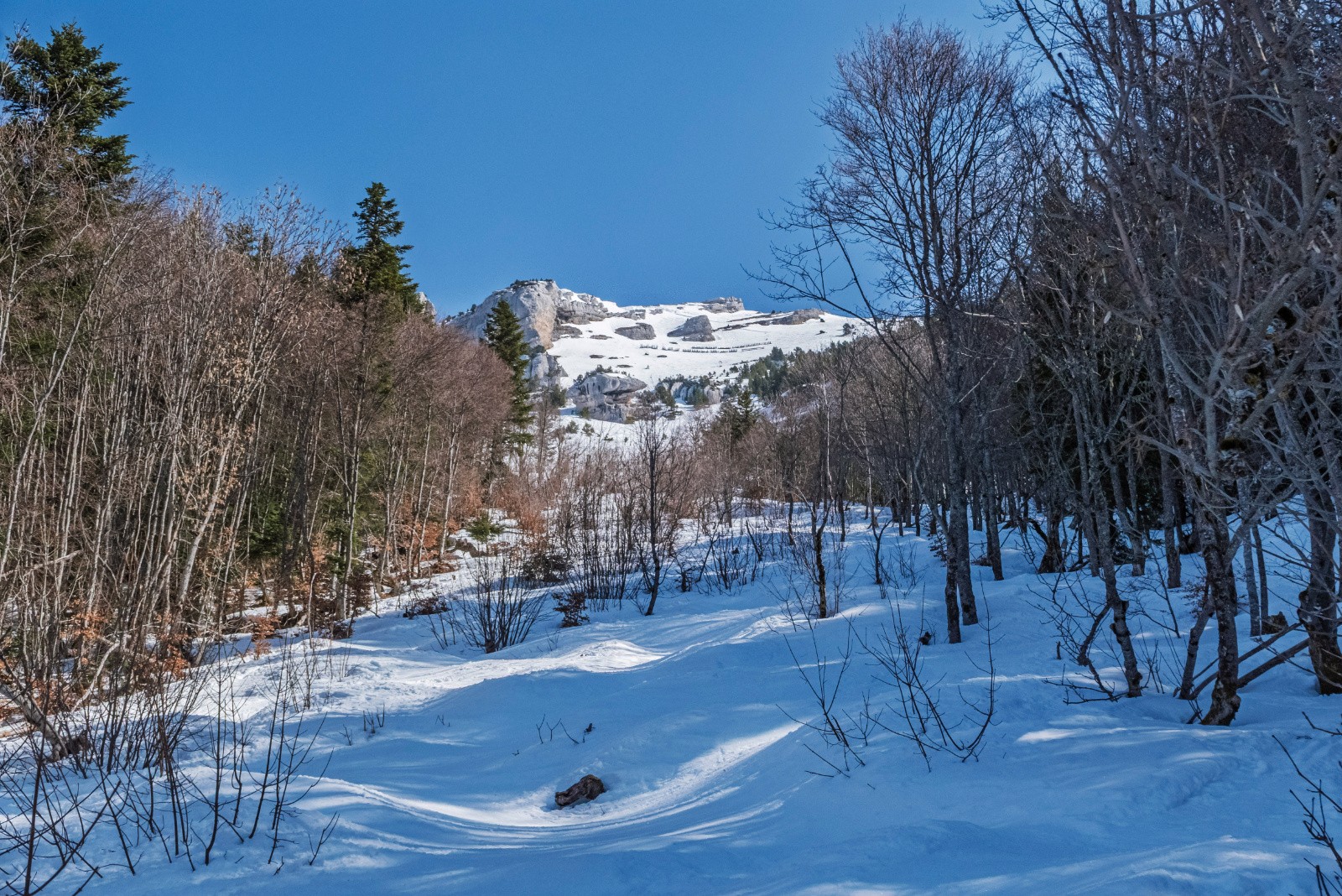 Vue de la voie des paravalanches depuis le bas