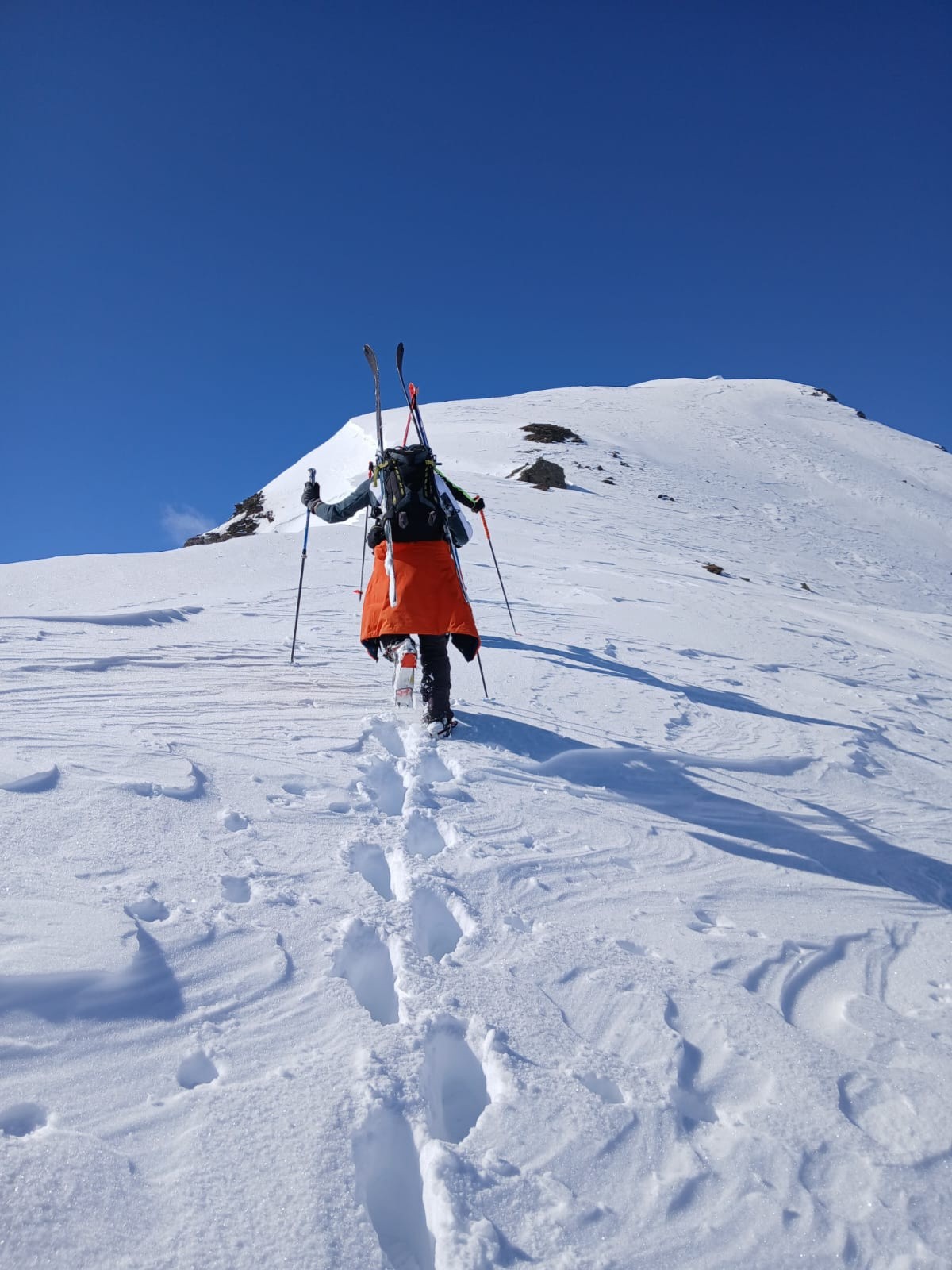 Bibi en action&nbsp;