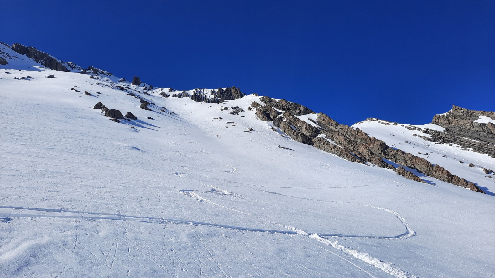 #18 Petit Verdillon Petit Verdillon