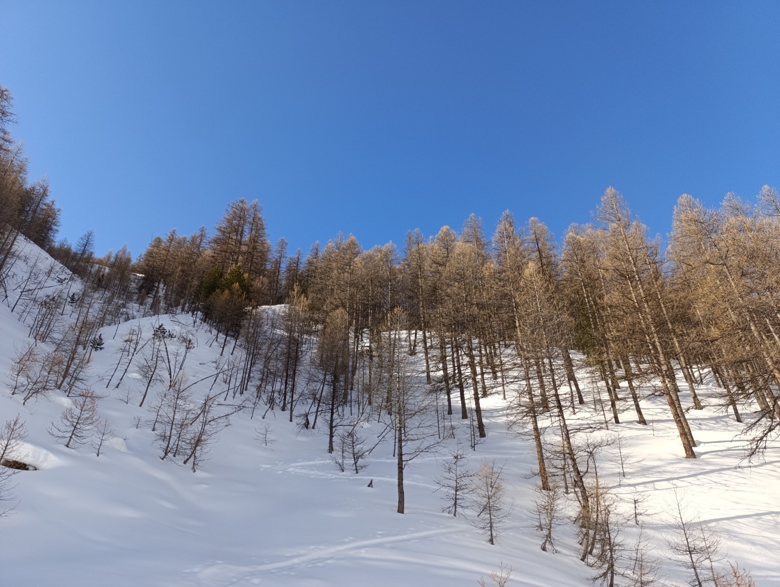 Une excellente trace pour Gardiole