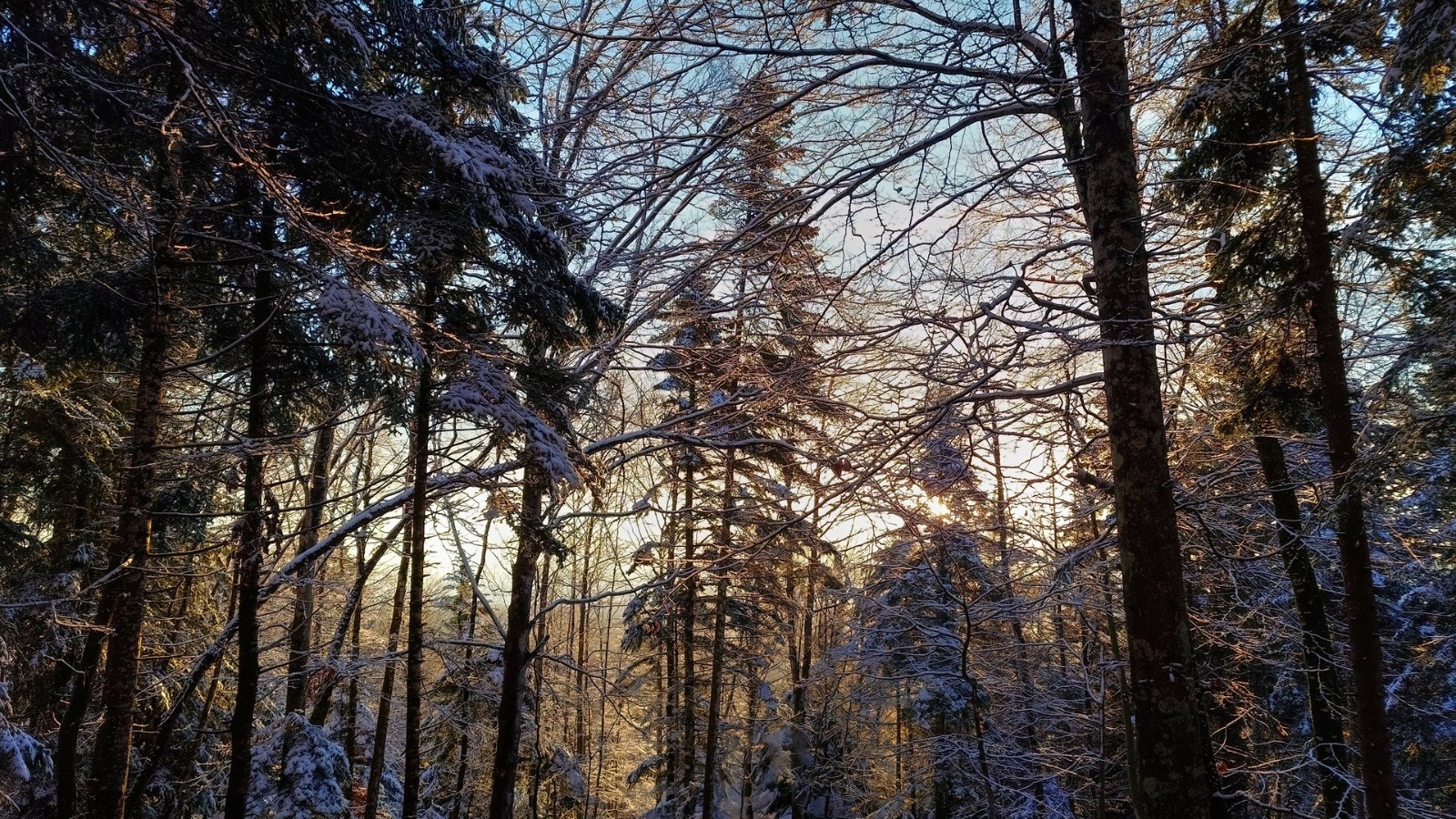 #1 J1 - Jura - petit matin J1 - Jura - petit matin