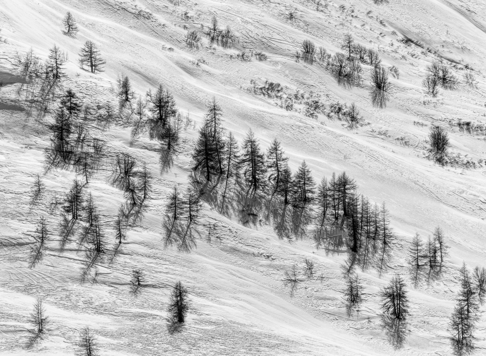 #52 J6 - Lautaret J6 - Lautaret