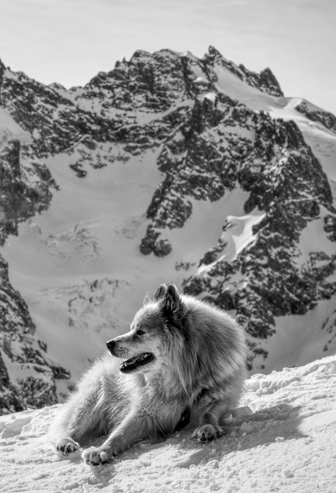 #13 J2 - col de Laurichard - thouthou aime la Meije ! J2 - col de Laurichard - thouthou aime la Meije !