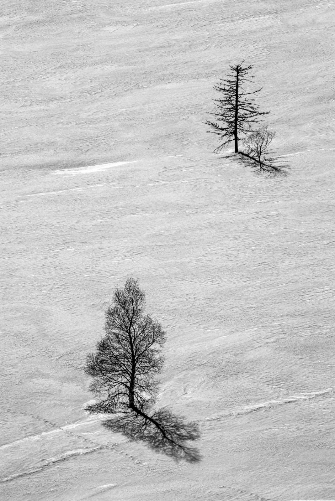 #55 J6 - Lautaret J6 - Lautaret