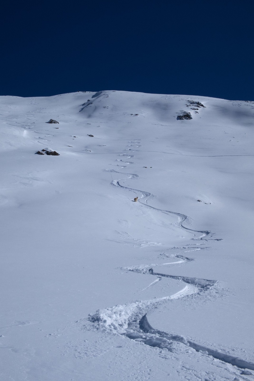 #42 J5 - Chateau Renard - régalade J5 - Chateau Renard - régalade