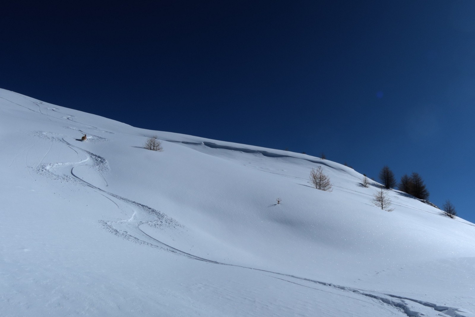 #47 J5 - Chateau Renard - régalade J5 - Chateau Renard - régalade