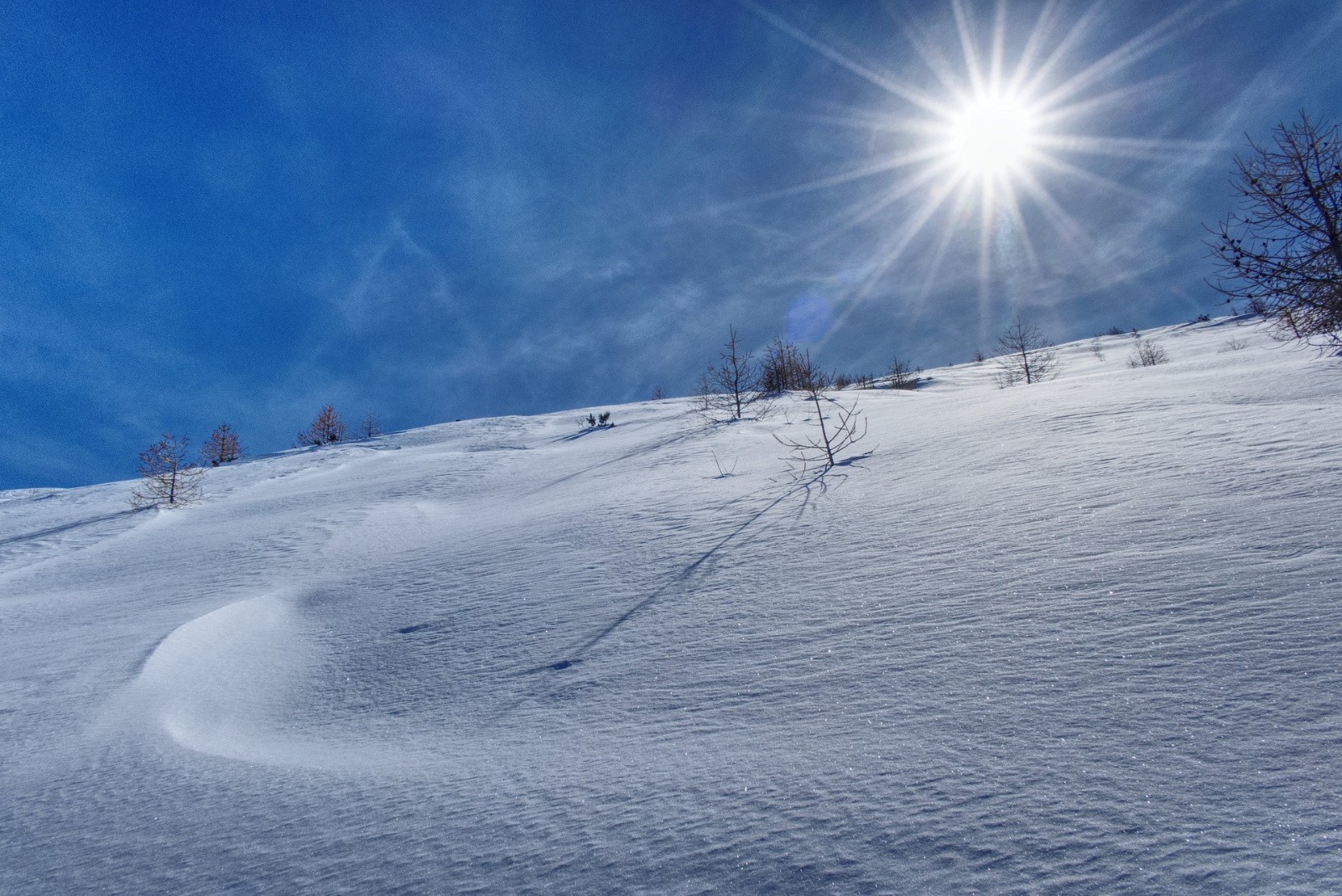 #18 J3 - Ristolas - 50cm de poudre J3 - Ristolas - 50cm de poudre