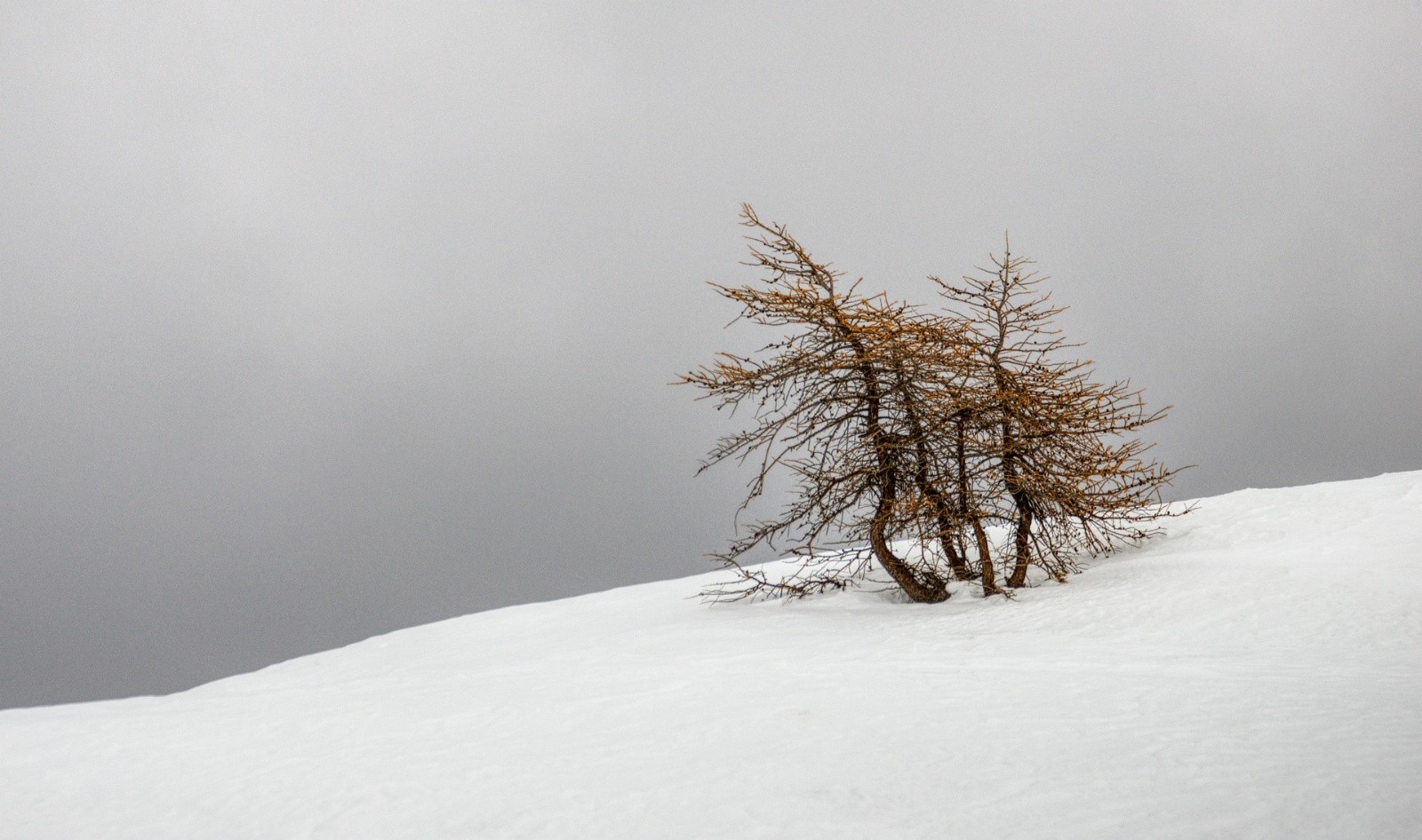 #31 J4 - Jour gris, avec une touche de couleur J4 - Jour gris, avec une touche de couleur
