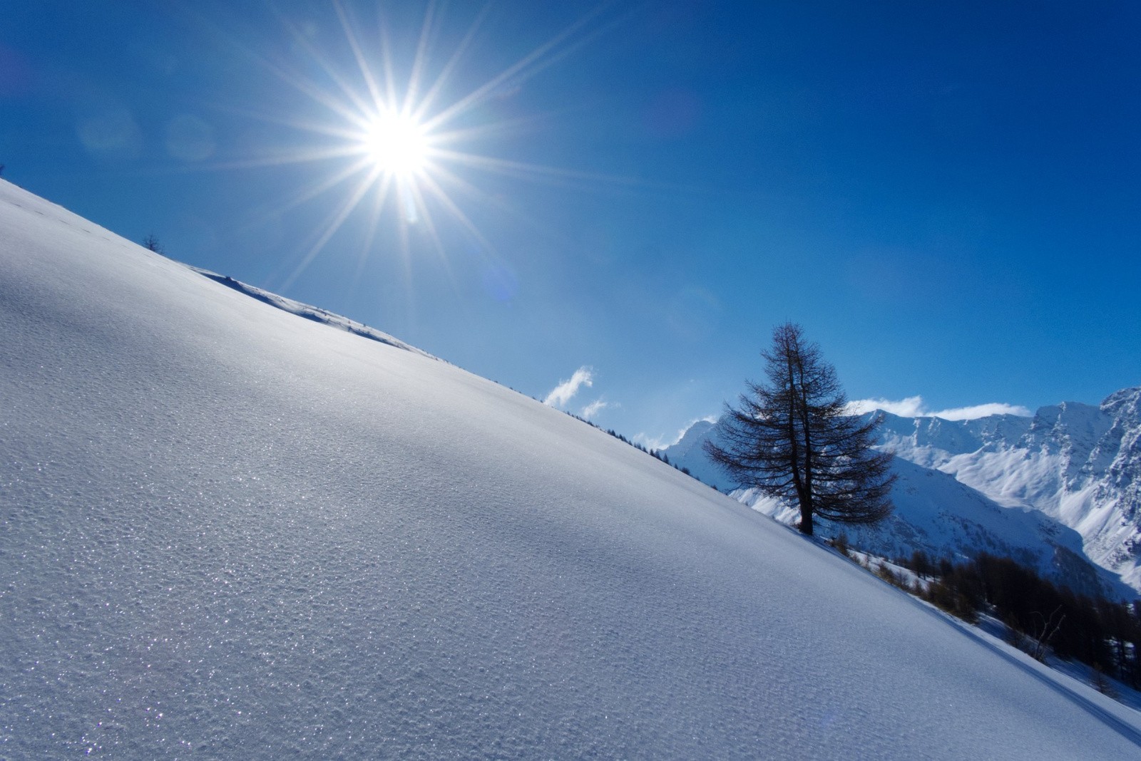 #39 J5 - Chateau Renard J5 - Chateau Renard