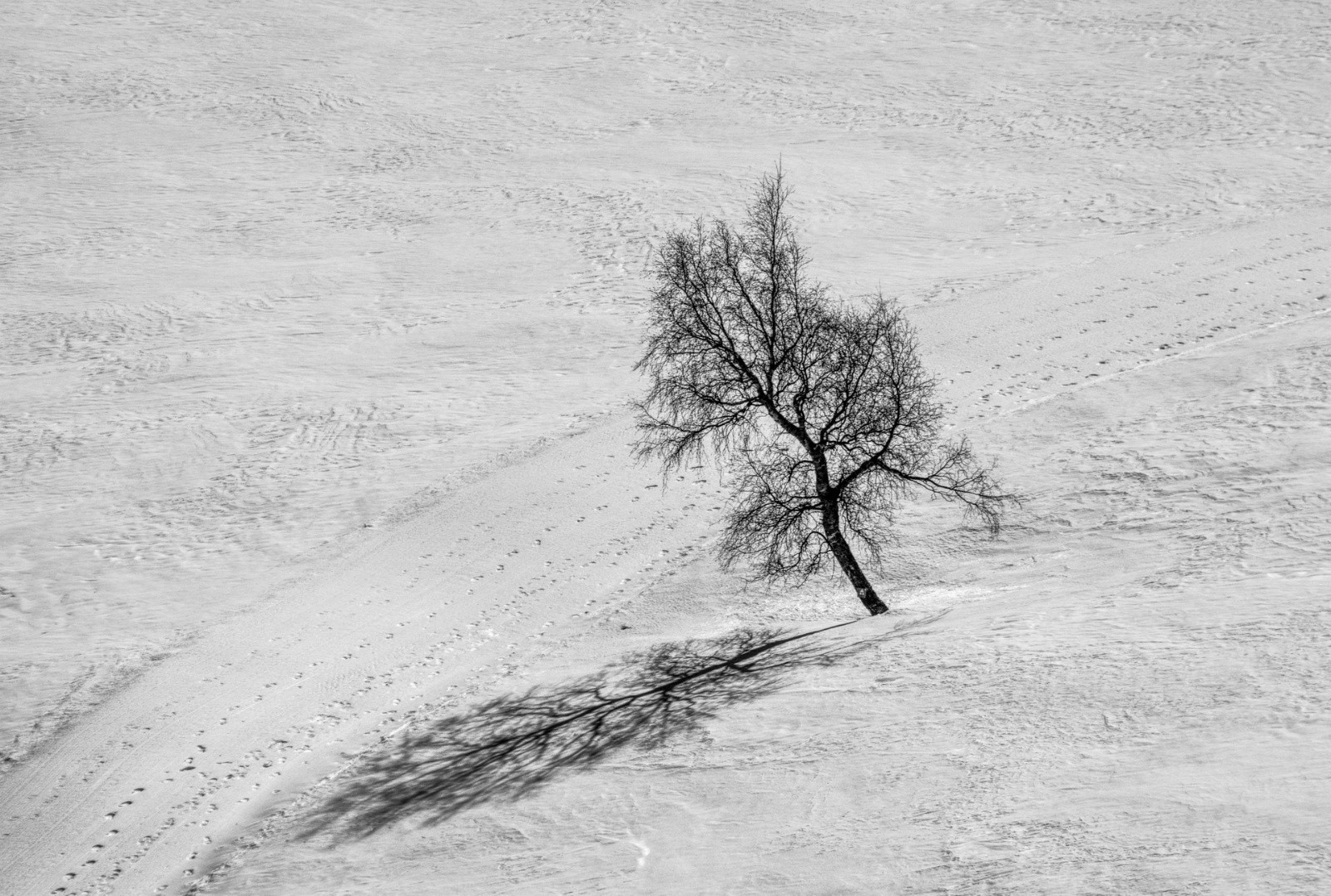 #54 J6 - Lautaret J6 - Lautaret