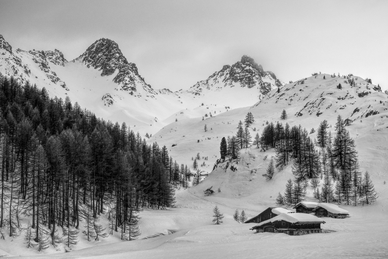 #28 J4 - en montant à Clapeyto J4 - en montant à Clapeyto