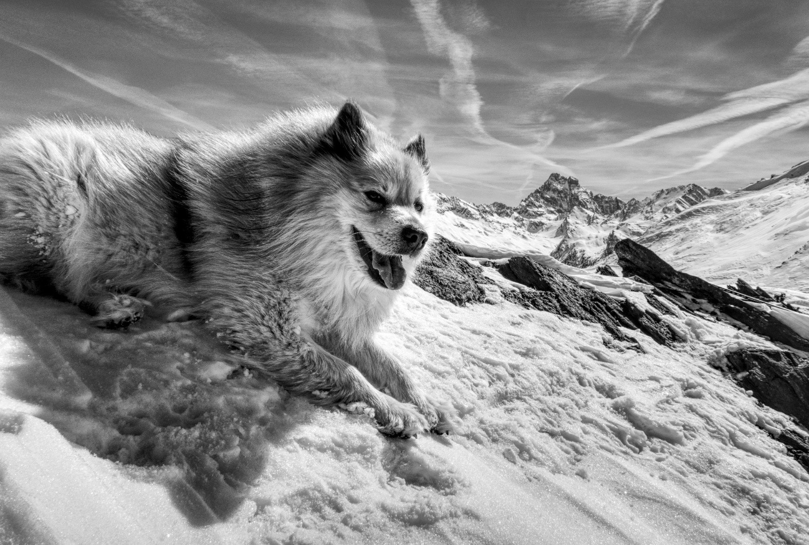 #20 J3 - Maloqueste - thouthou aime le Viso ! J3 - Maloqueste - thouthou aime le Viso !