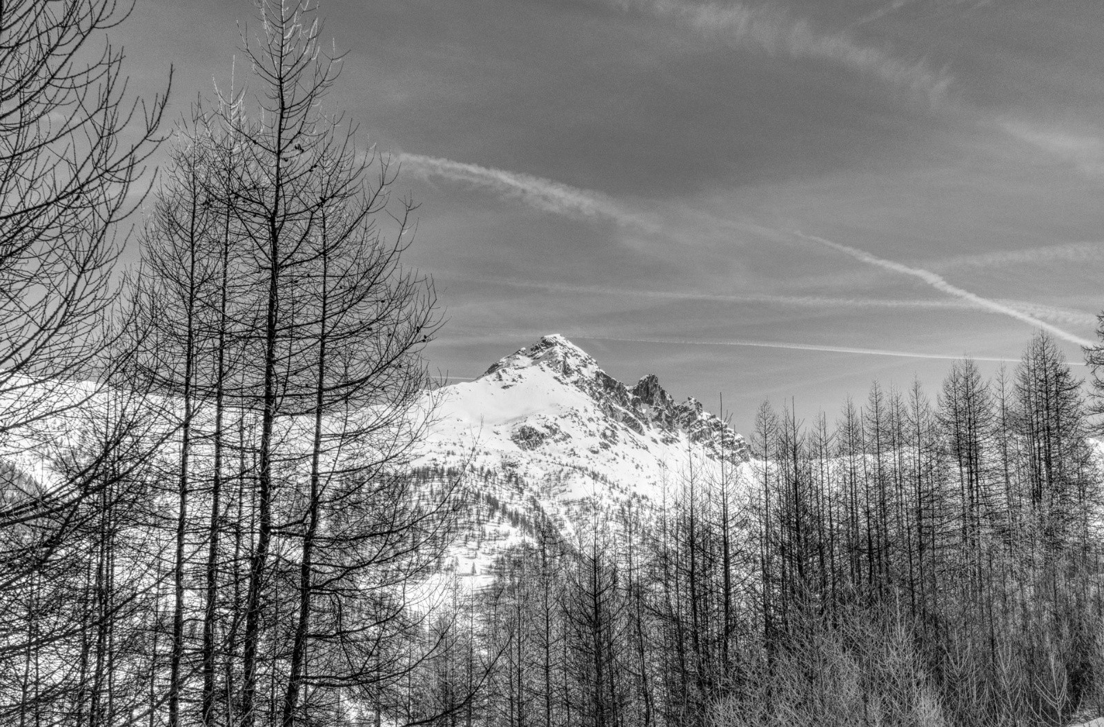 #17 J3 - Ristolas J3 - Ristolas