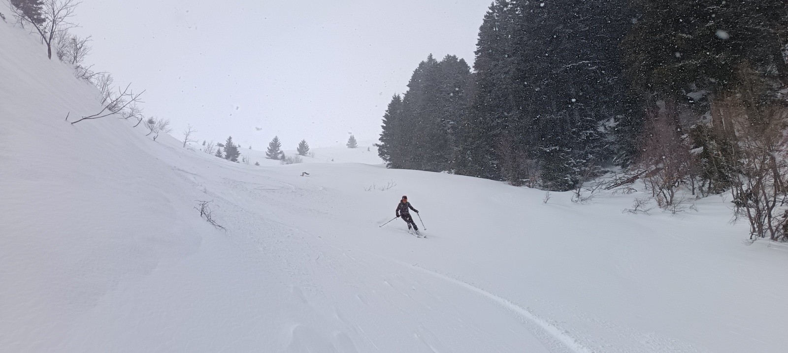 #10 Combe du ruisseau du Village Combe du ruisseau du Village