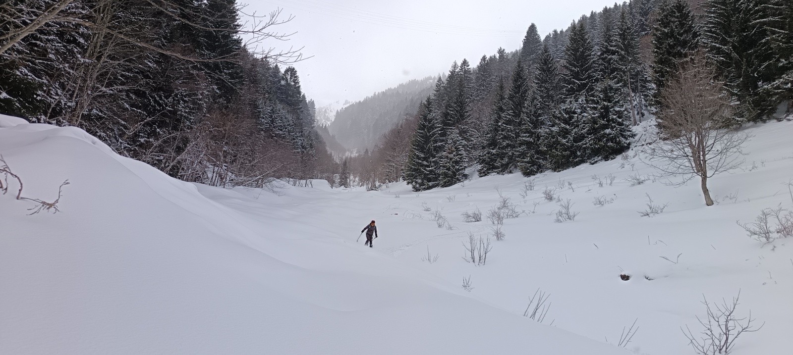 #12 Fin de la combe, retour direct au 🅿️ Fin de la combe, retour direct au 🅿️