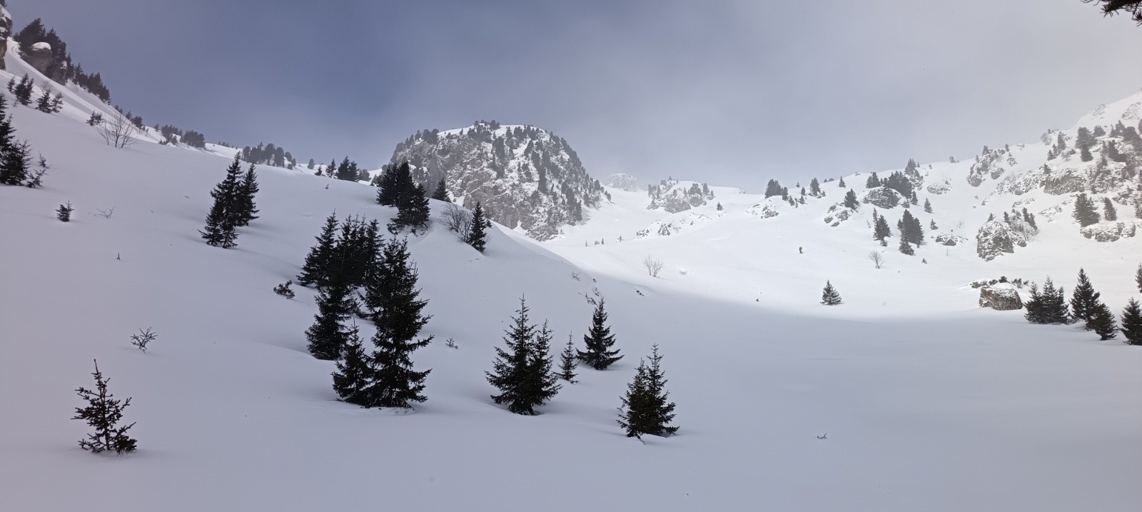 #2 Sortie de la forêt Sortie de la forêt