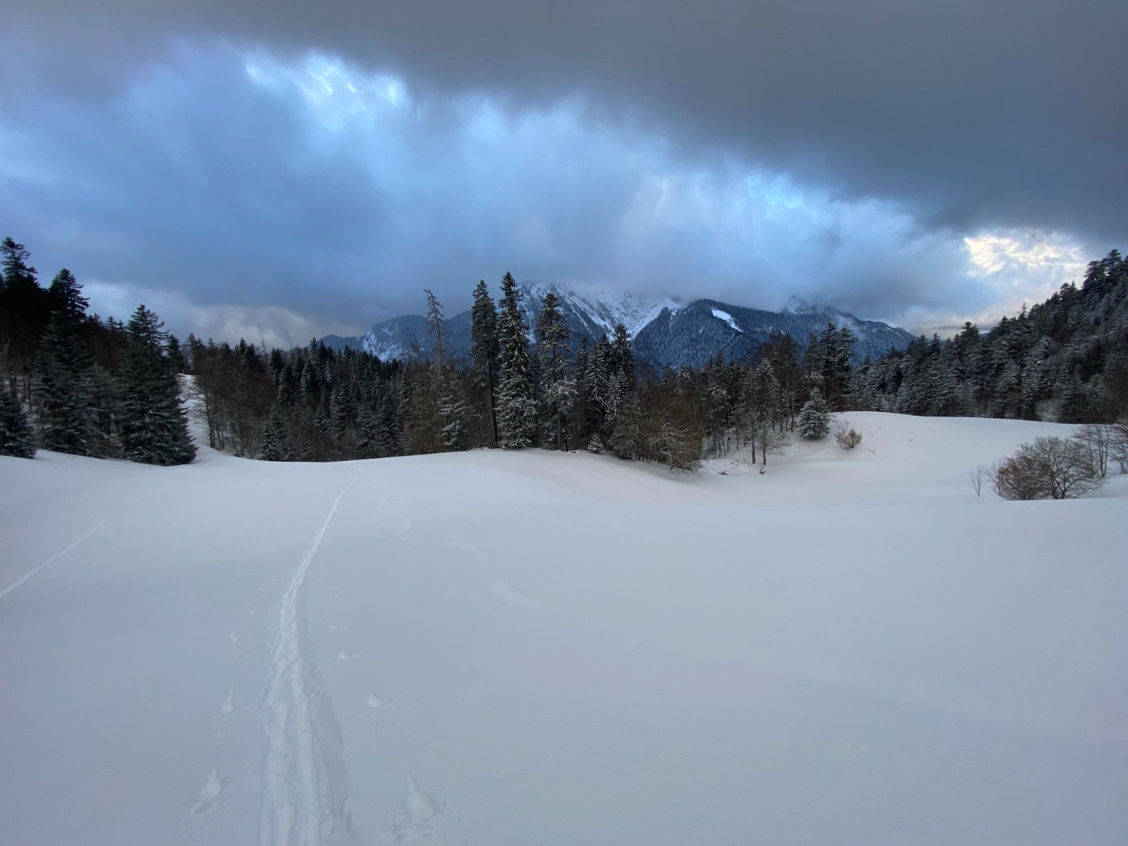 #1 Seul au monde Seul au monde