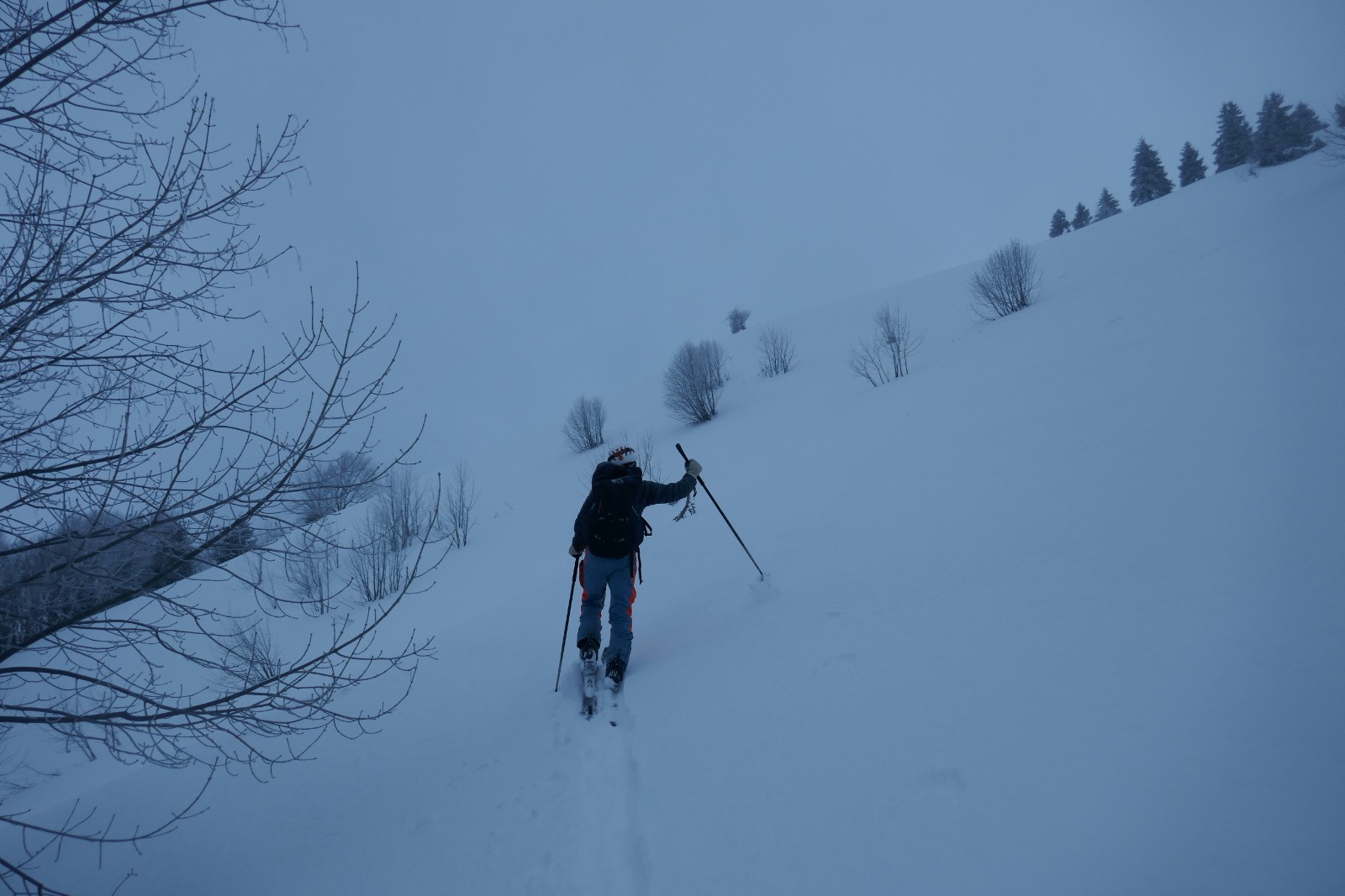 Champ intermédiaire 