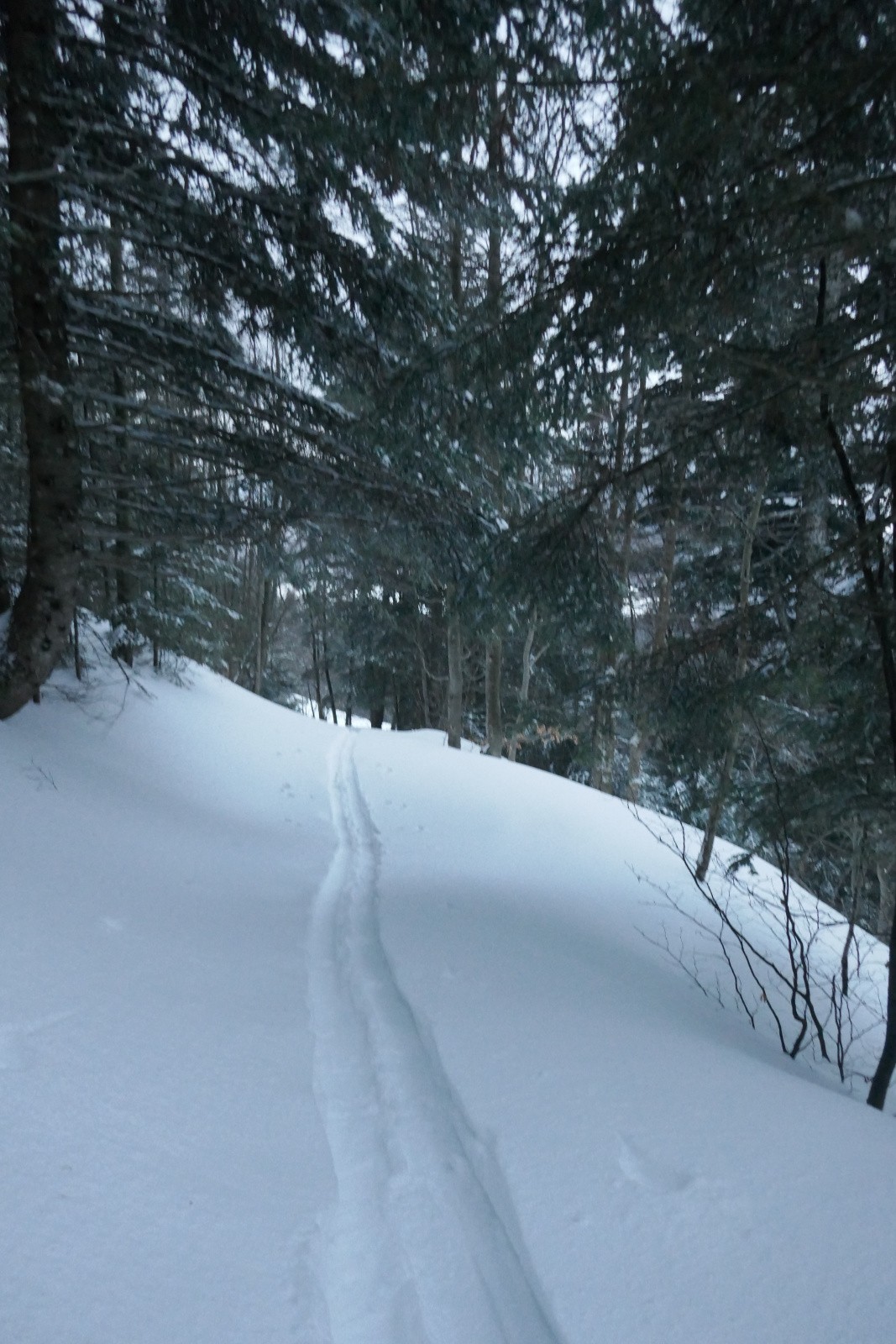Et oui, nous traçons 