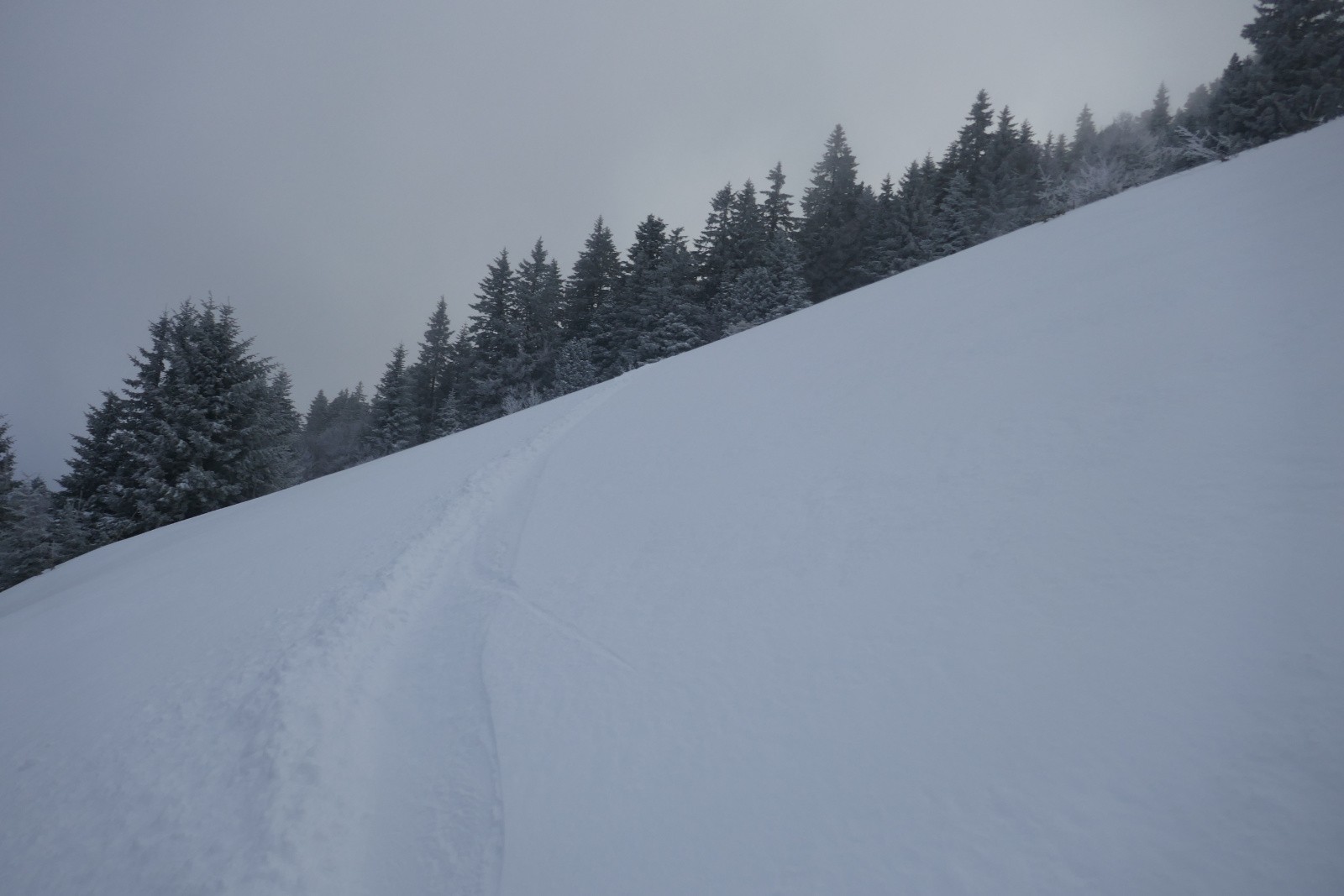 Des neiges comme ça on en veut tous les jours !&nbsp; 