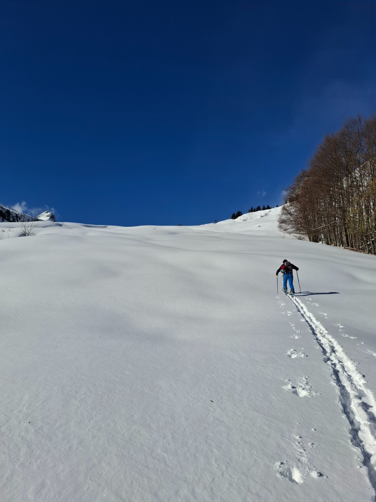 Vallon de cœur vierge au petit matin